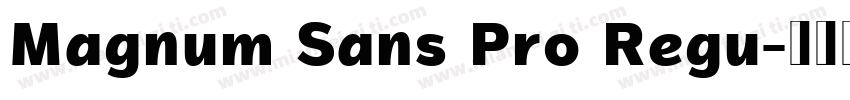 Magnum Sans Pro Regu字体转换